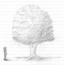 Tree1.jpg
