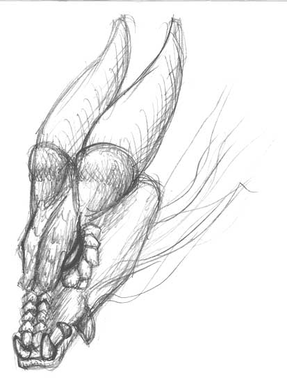 Dragon
Well, dragon head. Not much to say really - a crap 5 min scrawl while waiting at work for wing chun.

I want to draw better dragons T_T
