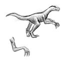 Sketch09-Dinosaur.jpg