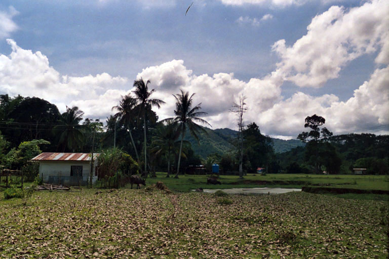 Somewhere...
I can't actually remember where this was taken >_>;;;
