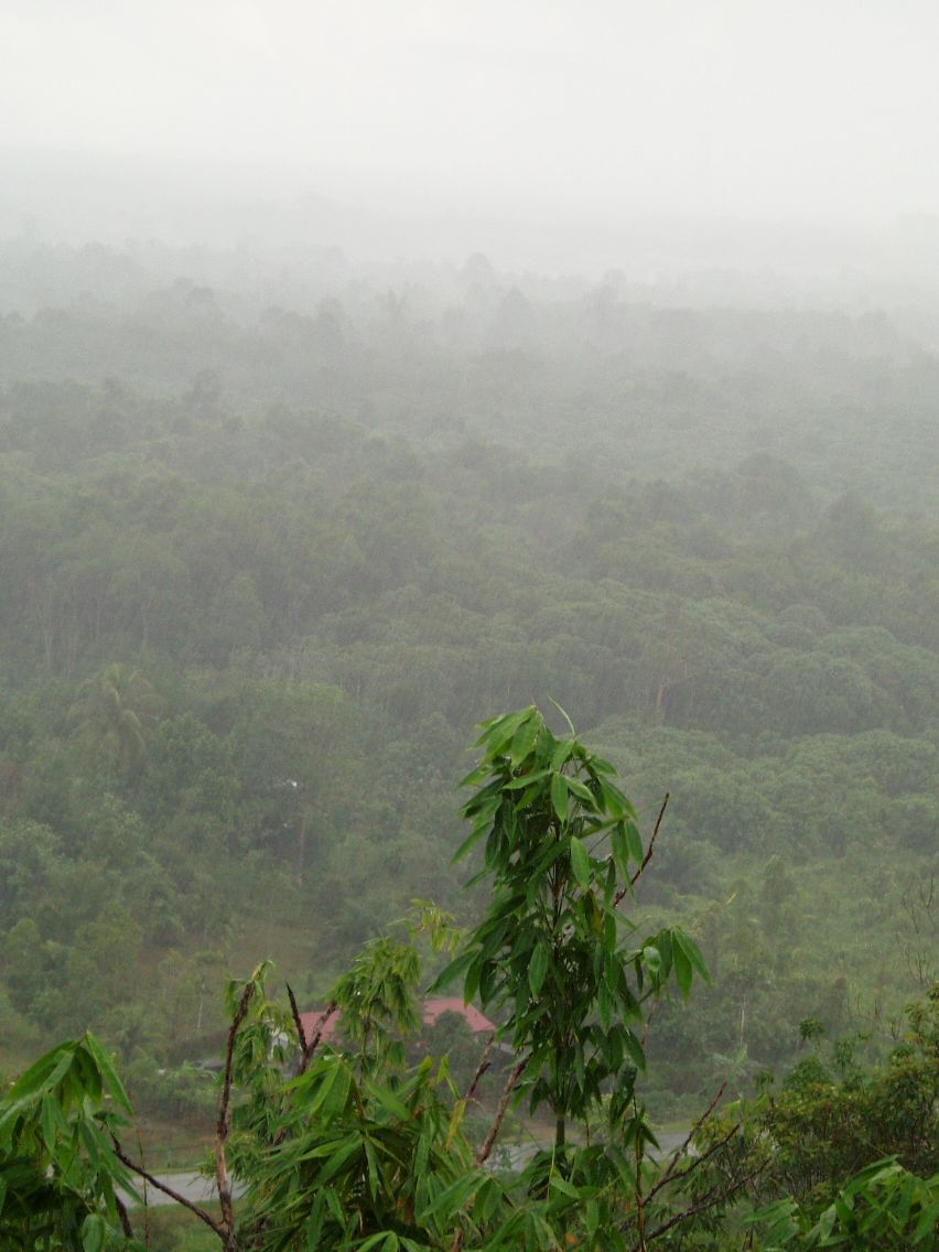 The distance...
Mostly everywhere we went looked like this - endless rainforest with the occasional house in the middle of nowhere.
