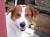 Filename=P1010054.JPG
Filesize=123KiB
Dimensions=1136x852
Date added=Dec 12, 2005 P1010054.JPG